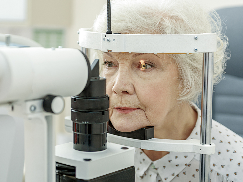 Optometry Office 10461